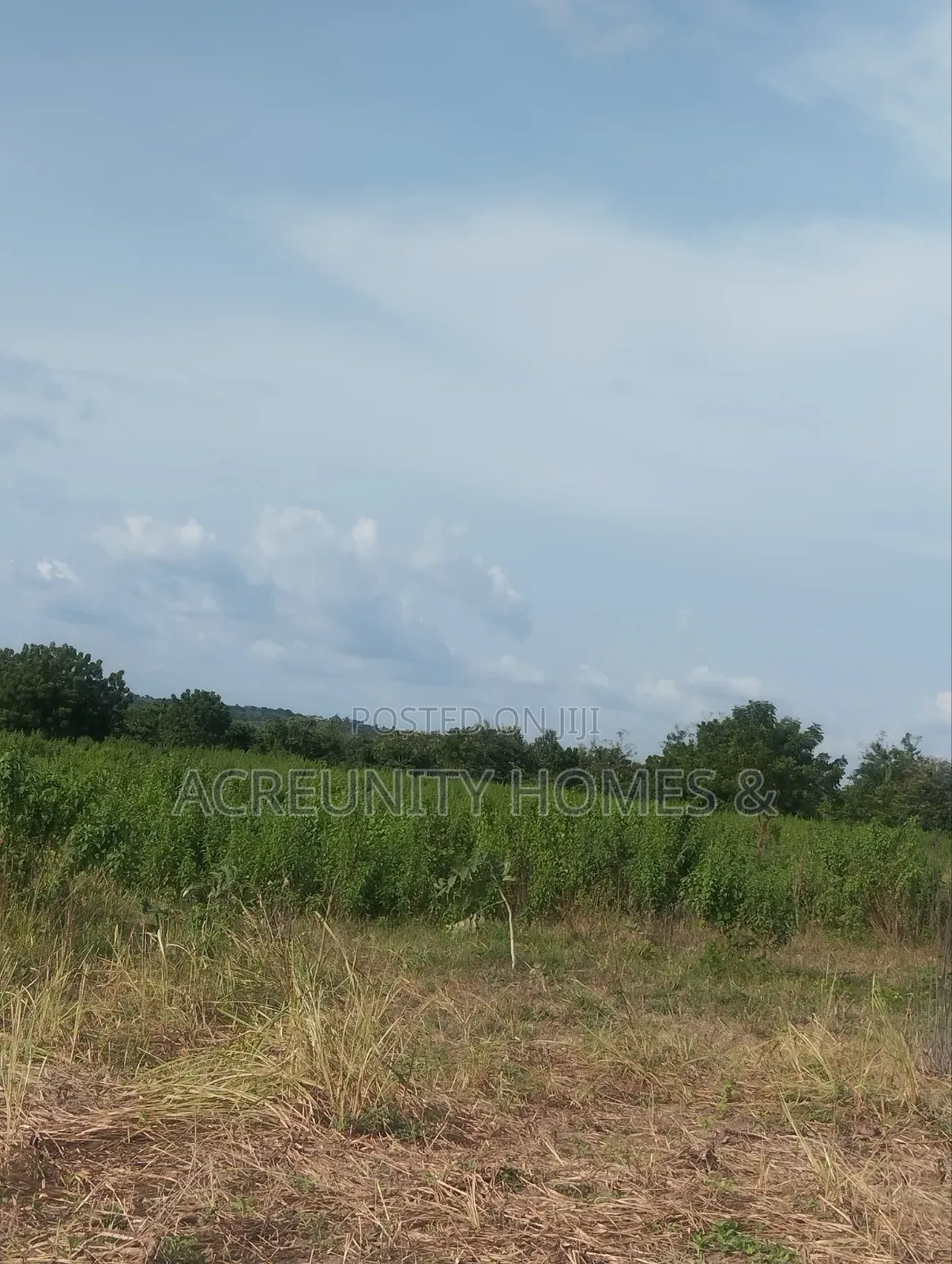 500 Acres of Farmland for Sale at Igbo Tapa, Igboora, Oyo State in Igbo Ora