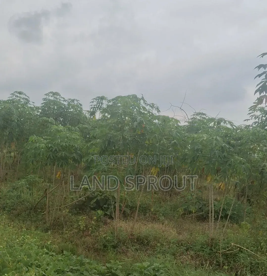 20 Acres Farmland and a Farm House, Reg Survey for Sale in Ido