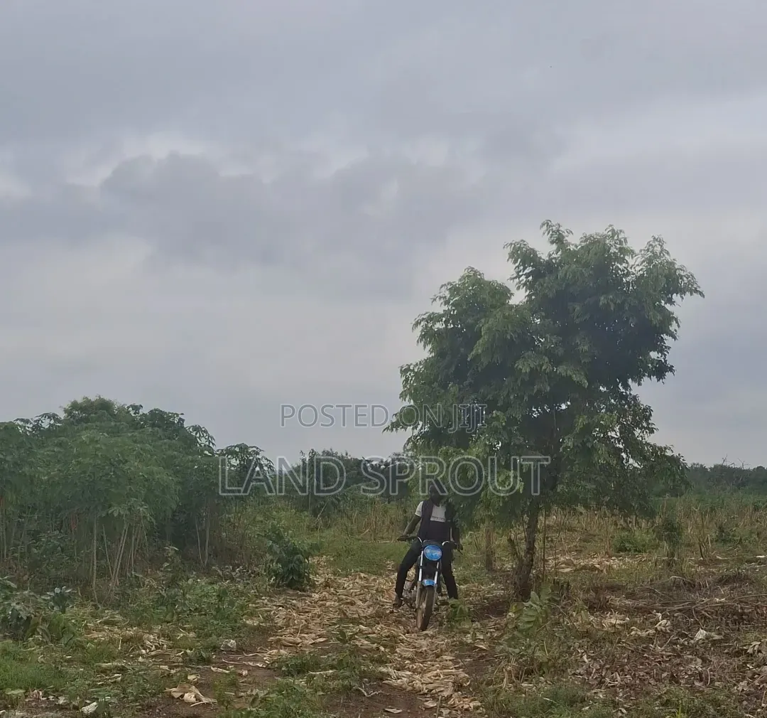 20 Acres Farmland and a Farm House, Reg Survey for Sale in Ido
