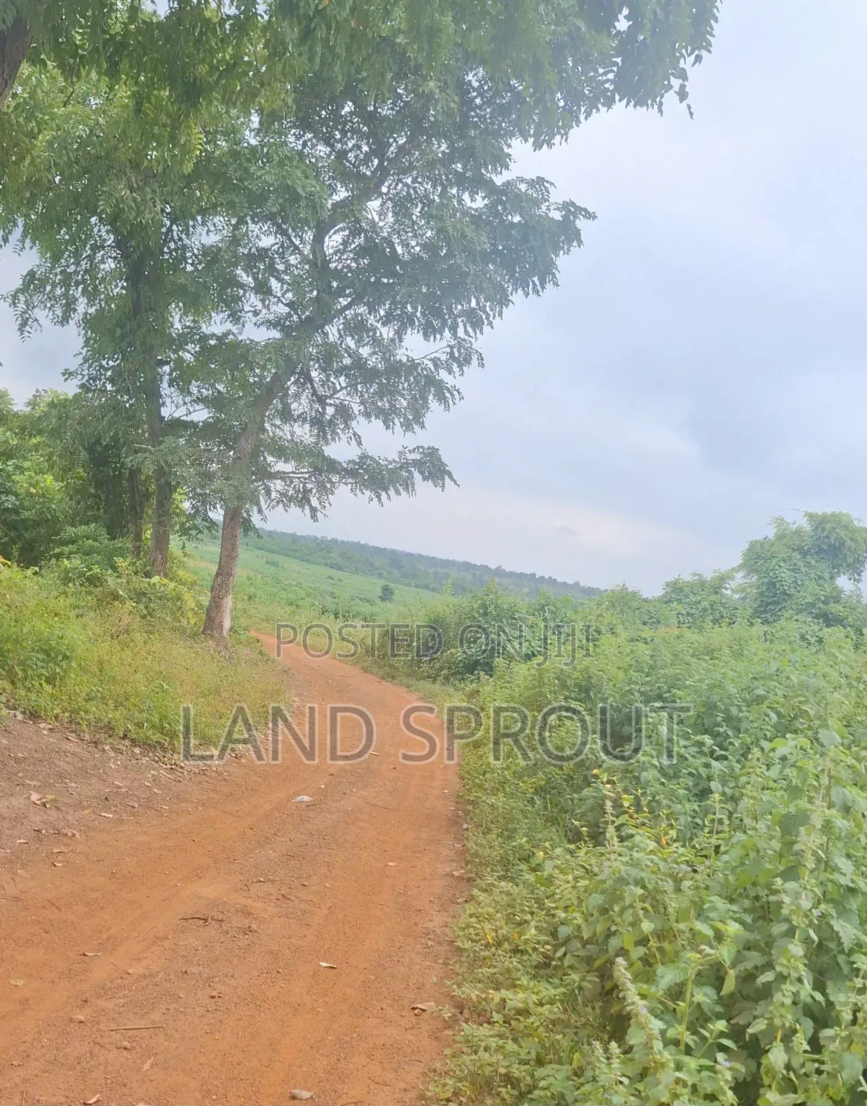30 Acres Farmland for Sale at Aba-Imo, Ido, Ibadan in Ido