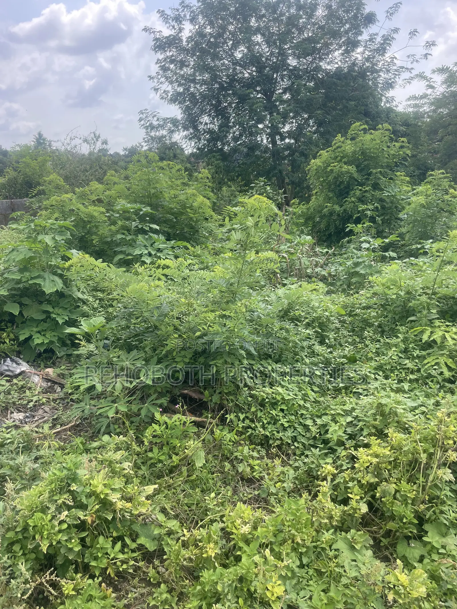 380sqm of Land for Sale at Agbofieti in Idishin