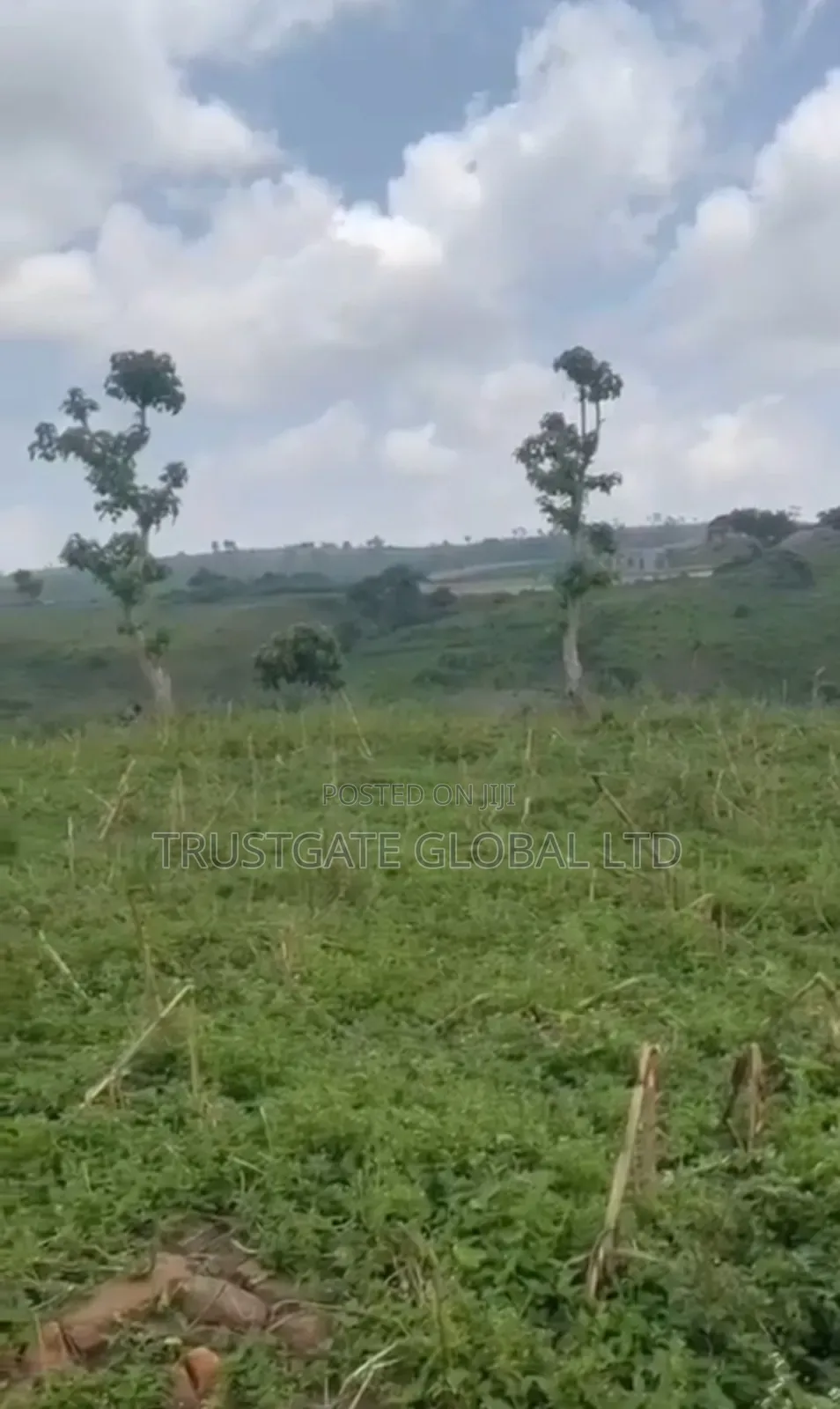 Land for Sale Karu District in Karu
