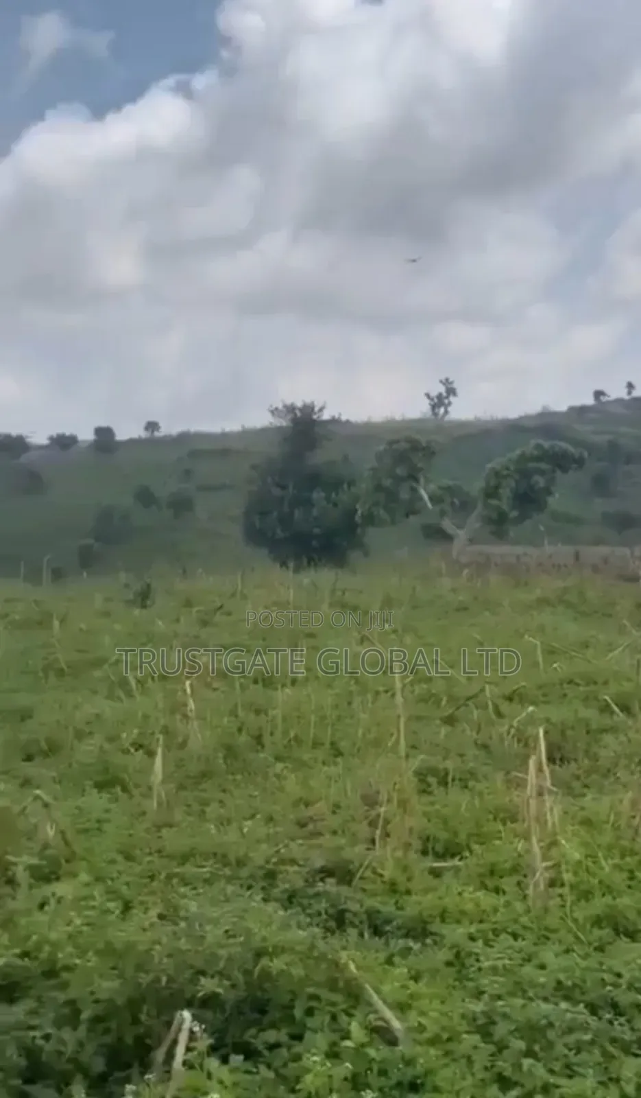 Land for Sale Karu District in Karu