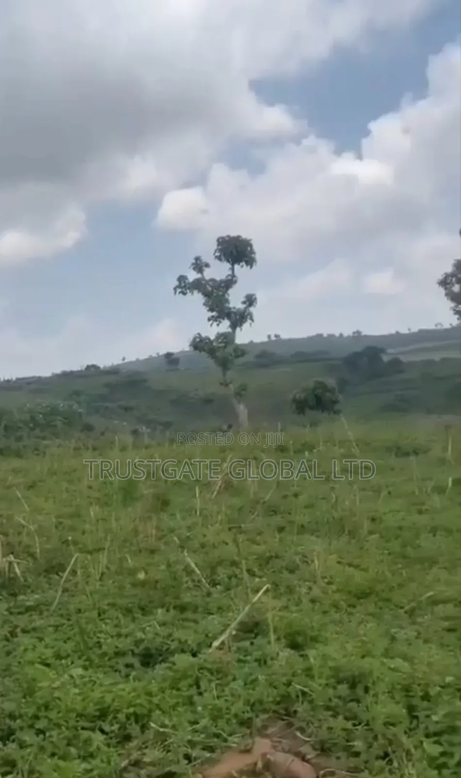 Land for Sale Karu District in Karu