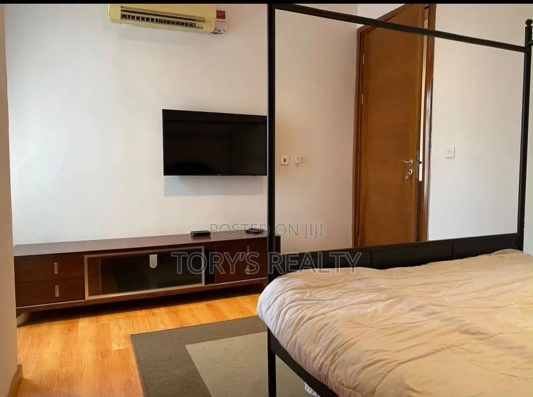 Furnished 2bdrm Apartment in Banana Island for rent in Banana Island
