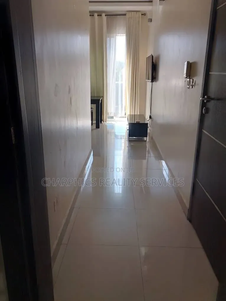 Furnished Mini Flat in Ikoyi S.W for rent in Ikoyi S.W