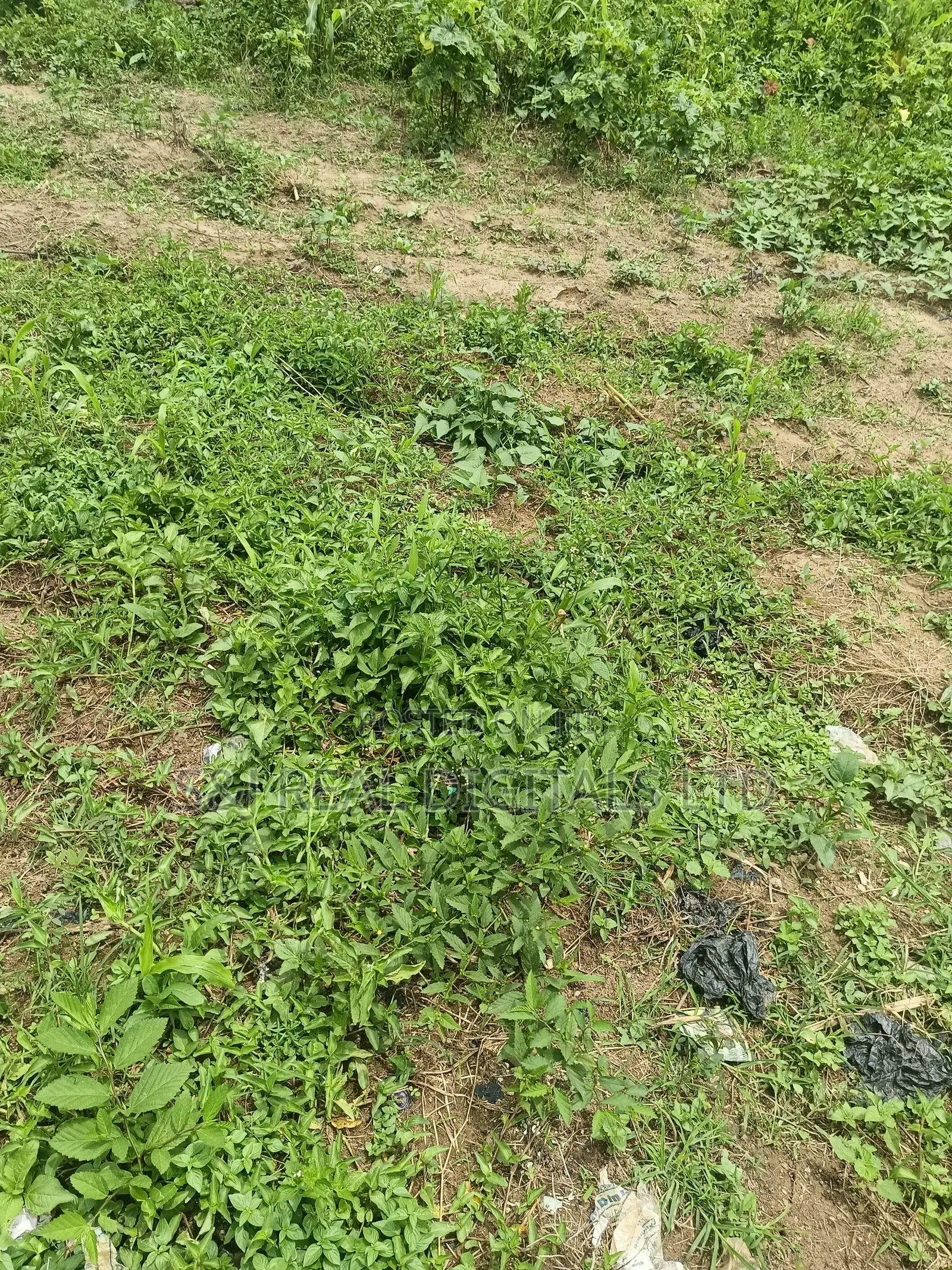 1500 SQM Residential Land for Sale in Katampe (Main)