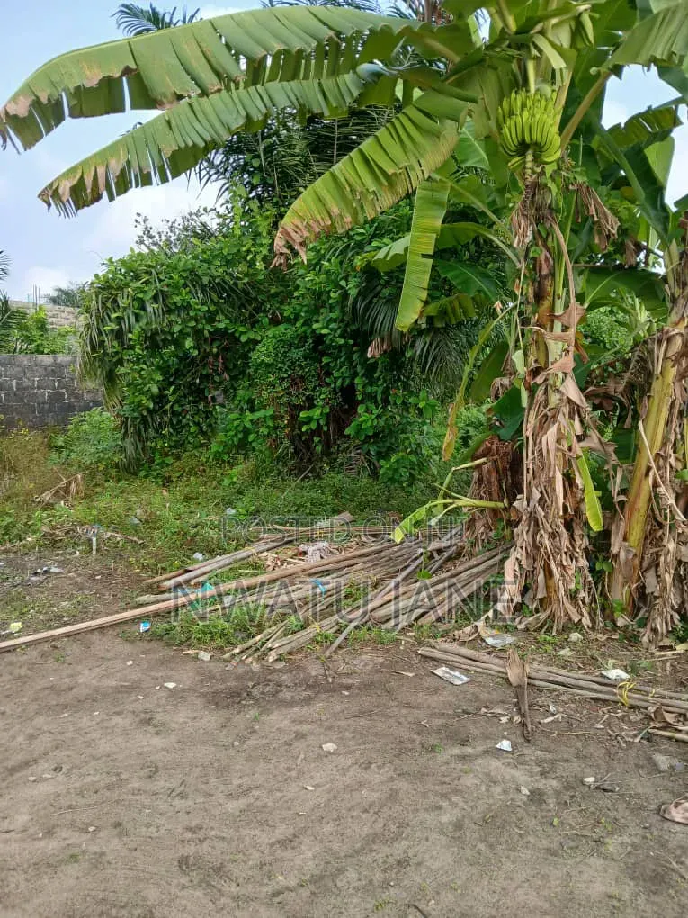 Full Plot of Land in Abijo