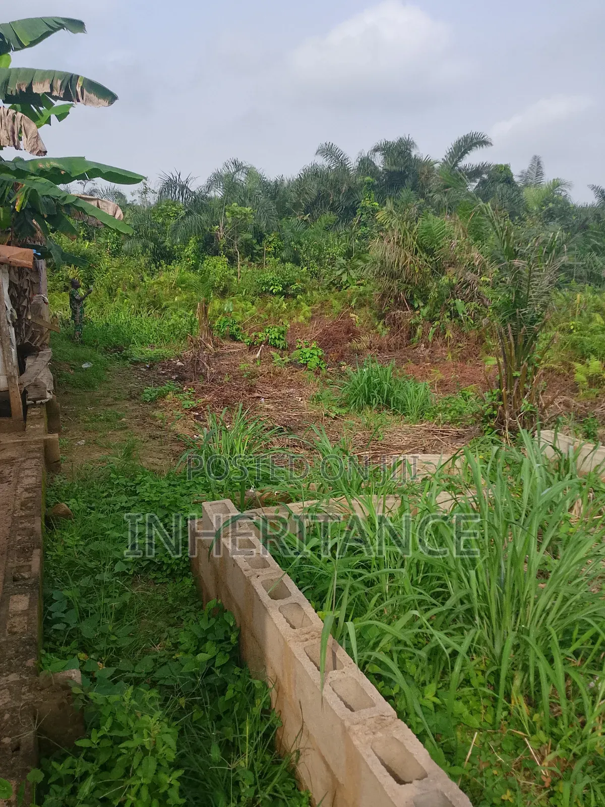 Half Plot of Land at Agric Imagbon Araromi in Ikorodu