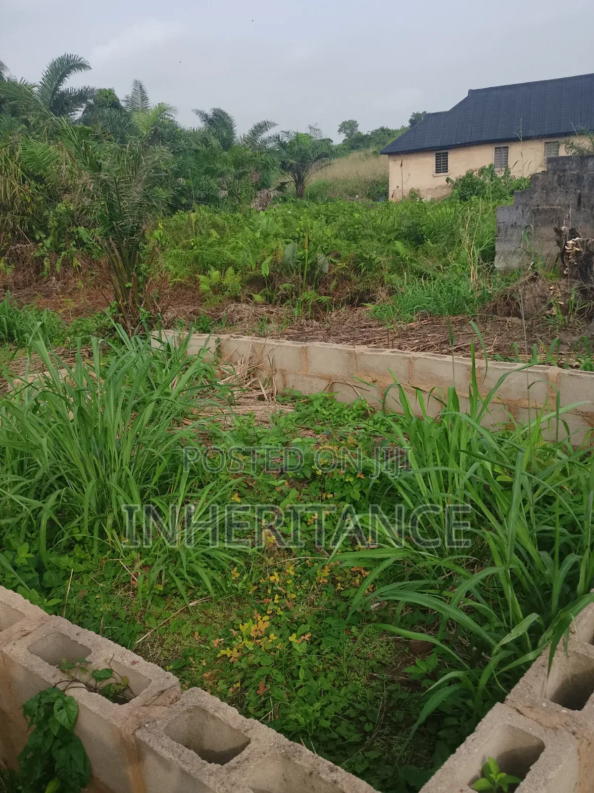 Half Plot of Land at Agric Imagbon Araromi in Ikorodu