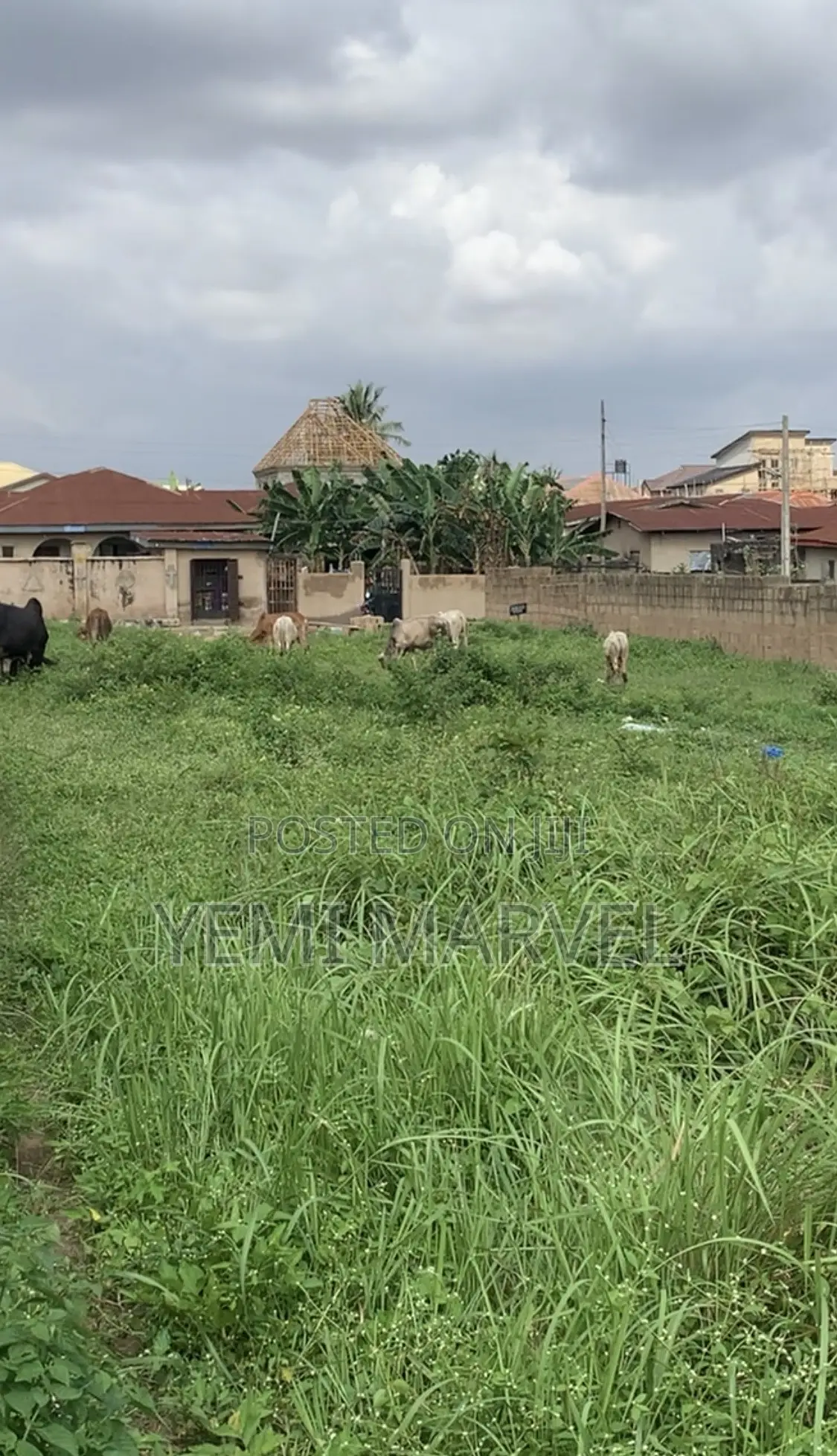 Plots of Land for Sale at Premier Estate, Akuru, Elebu With CofO in Akala Express