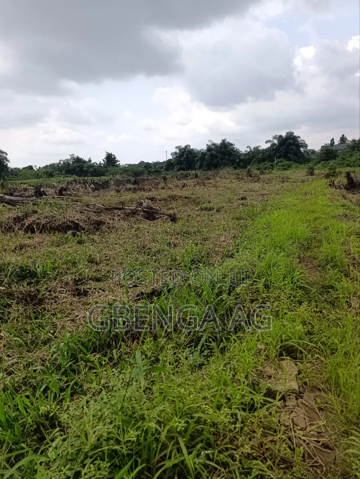 Half Plot of Land for Sale at Idowu Egba Isheri Lagos in Iseri Olofin
