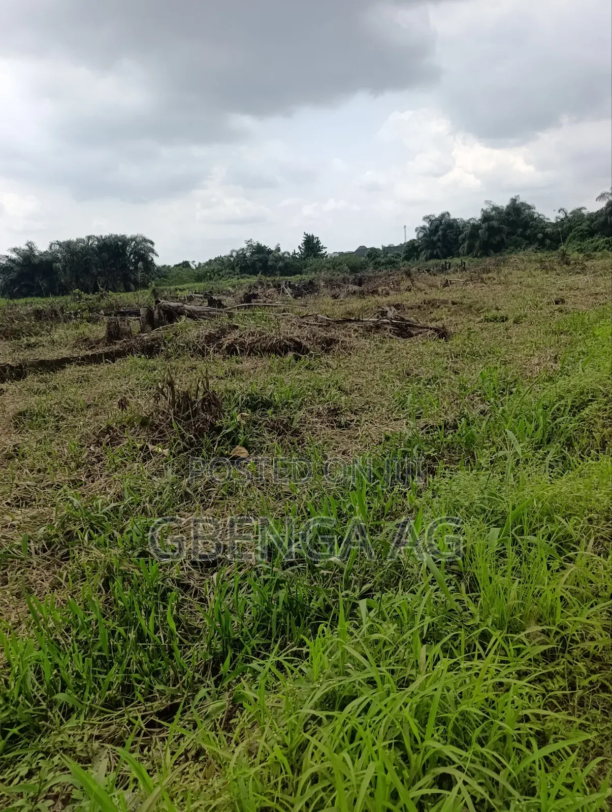 Half Plot of Land for Sale at Idowu Egba Isheri Lagos in Iseri Olofin