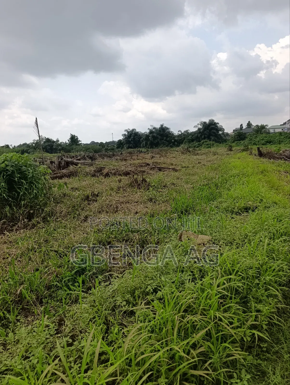 Half Plot of Land for Sale at Idowu Egba Isheri Lagos in Iseri Olofin