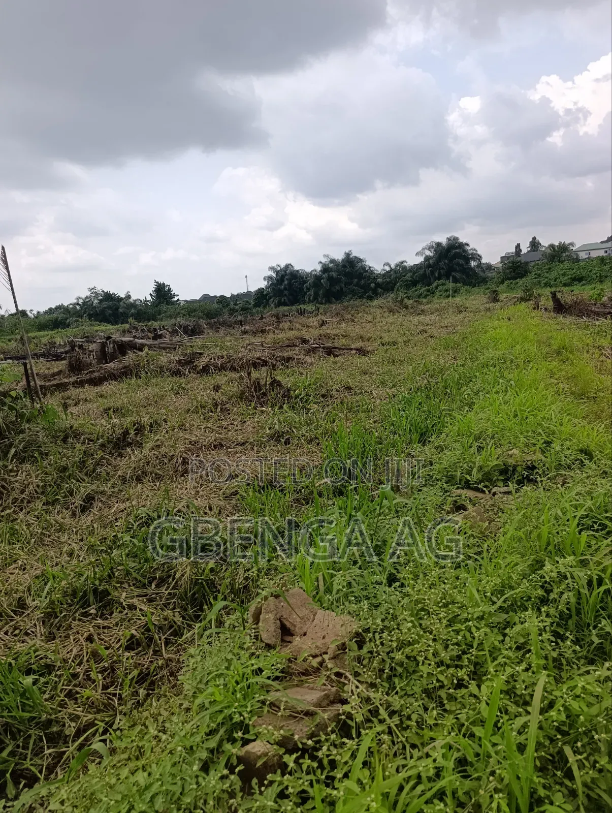 Half Plot of Land for Sale at Idowu Egba Isheri Lagos in Iseri Olofin