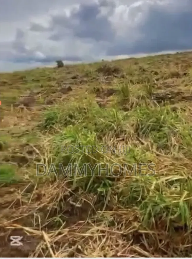 Acres of Farm Land in Irewole