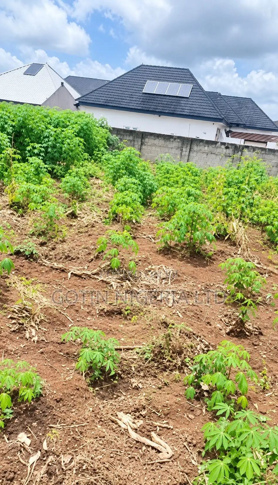 100ft × 100ft Plot of Land for Sale at Amagba in Benin City