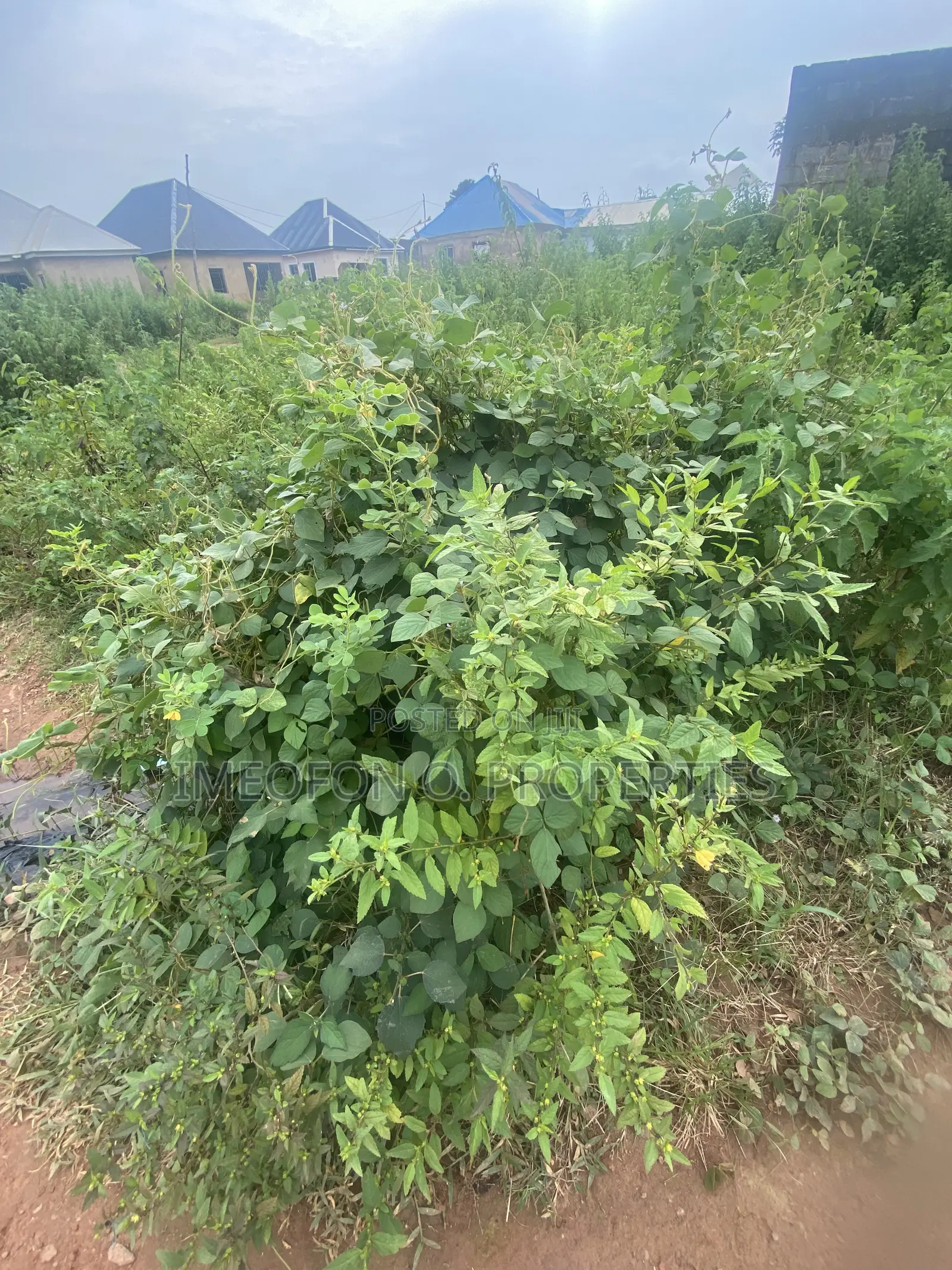 Distress Sales Prime Residential Land in Fo1 Kubwa Abuja. in Kubwa