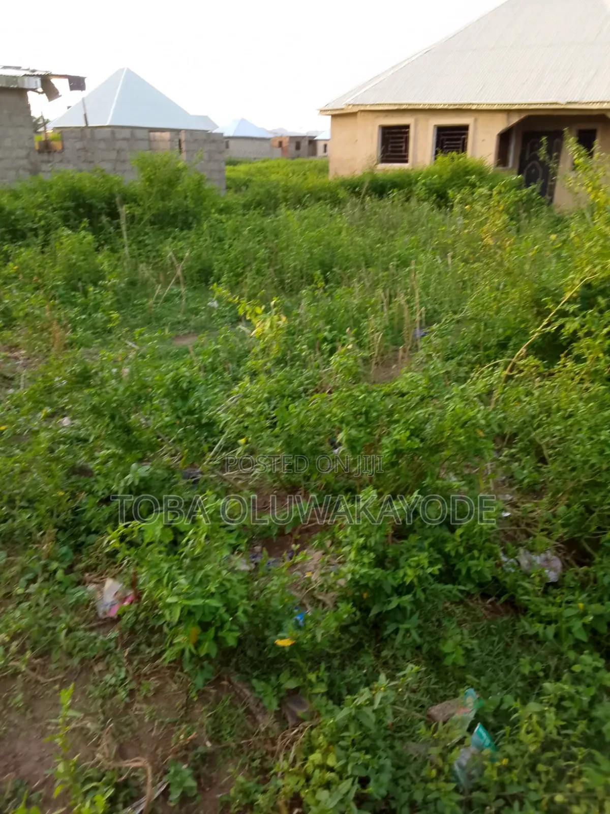 Flat Land for Sale in Kiami