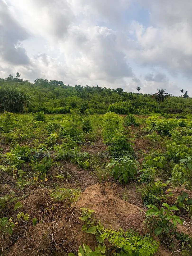 15 Acres Close to KolaDaisi Uni. Akinyele Moniya in Akinyele