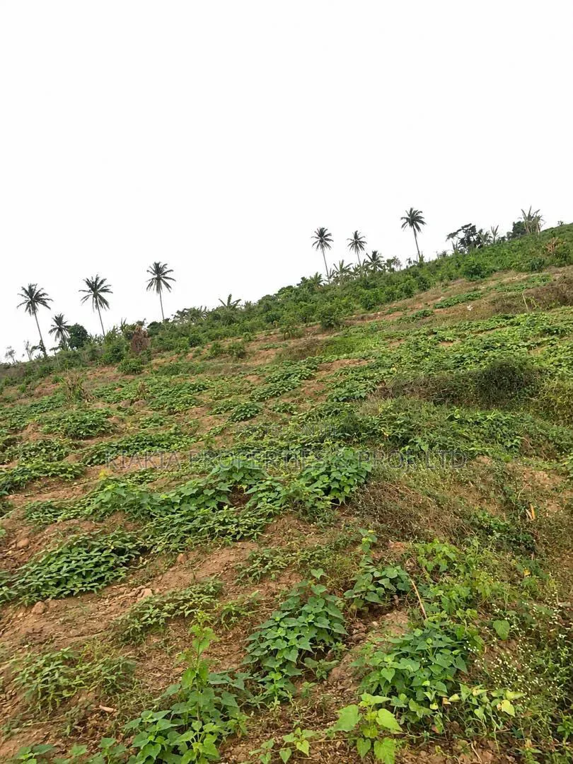 15 Acres Close to KolaDaisi Uni. Akinyele Moniya in Akinyele