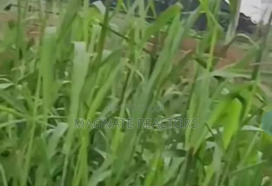 Land for Sale in Uyo in Uyo