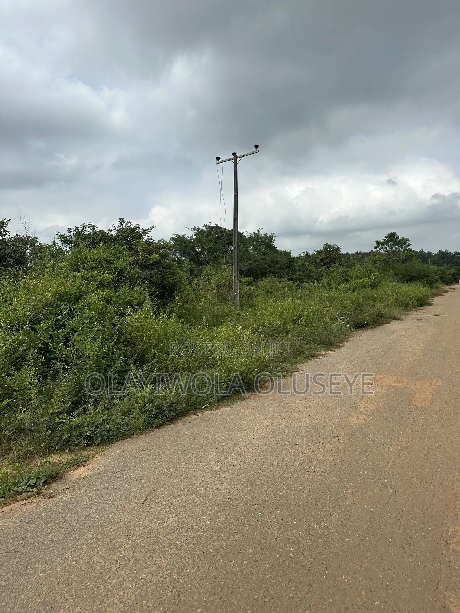 Affordable Land for Farming in Ogun State, Nigeria in Obafemi-Owode
