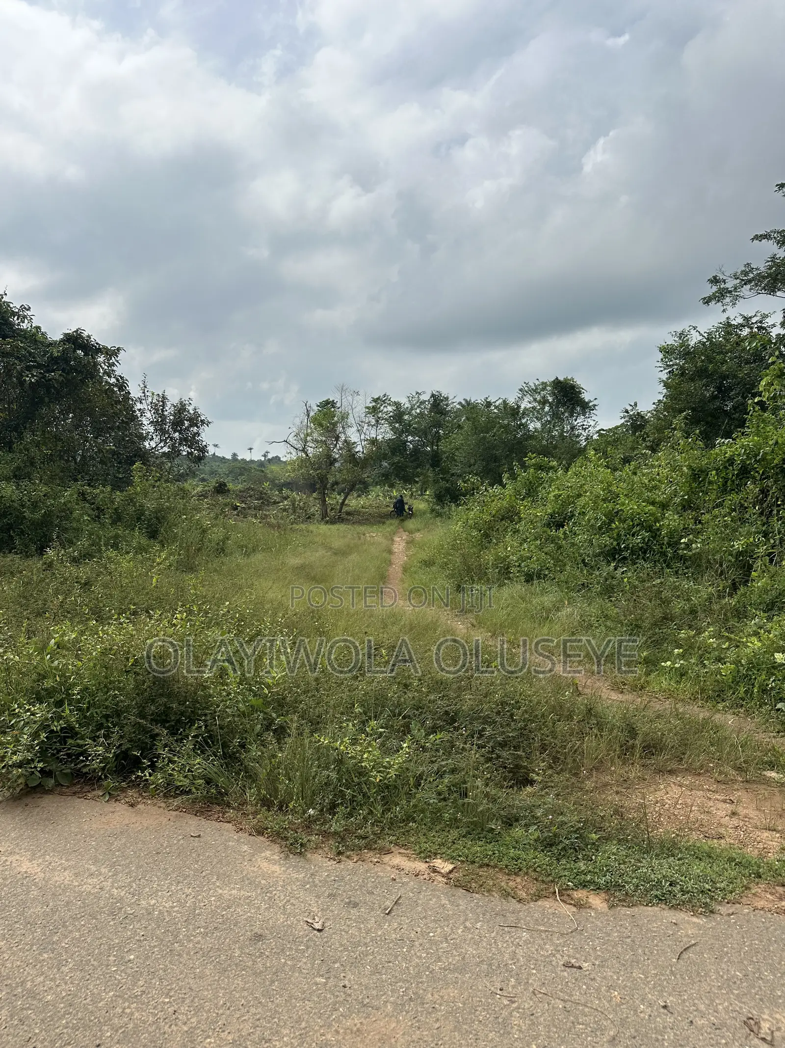 Affordable Land for Farming in Ogun State, Nigeria in Obafemi-Owode
