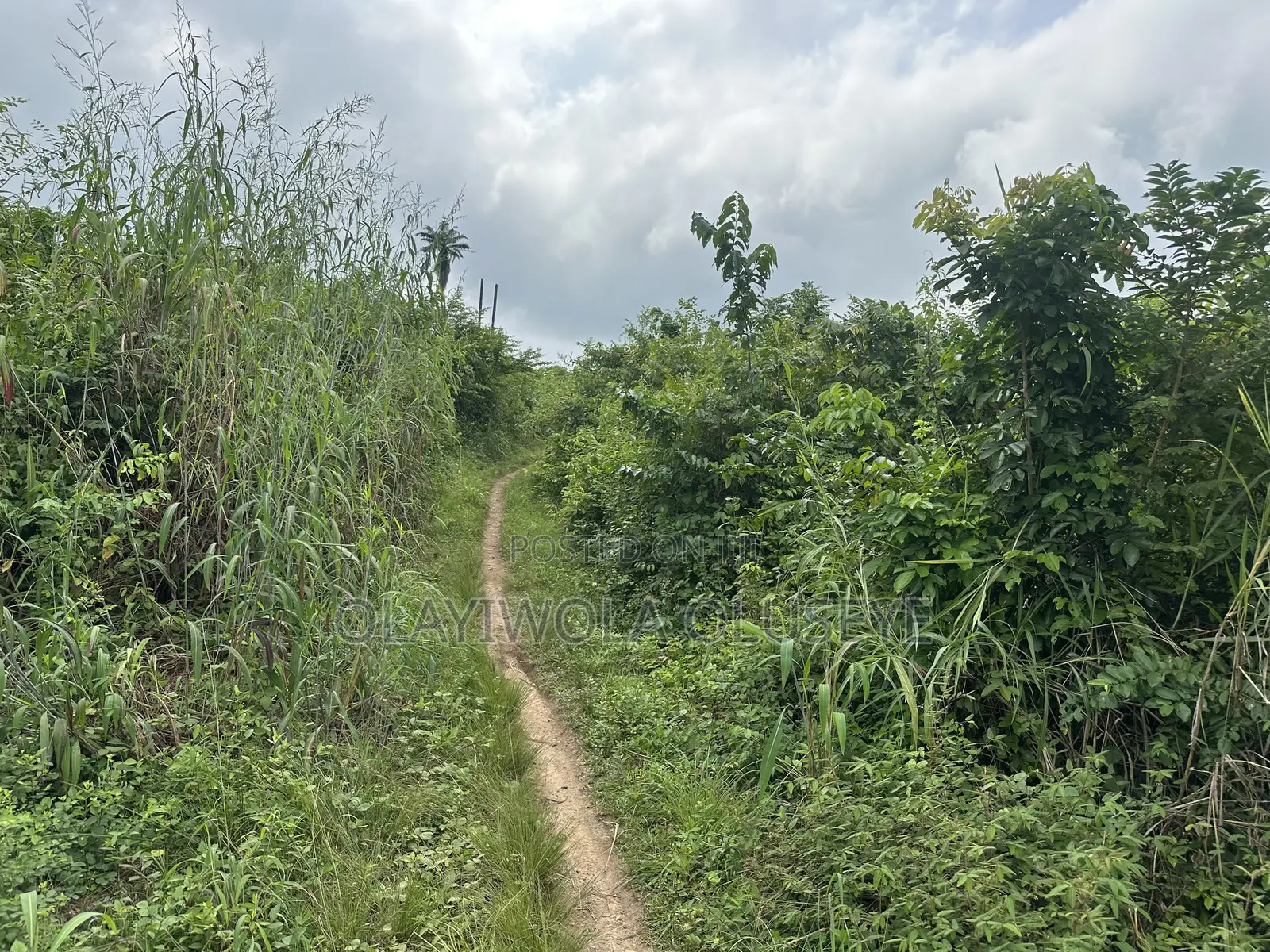 200 Acres of Land Available for Sale in Obafemi-Owode