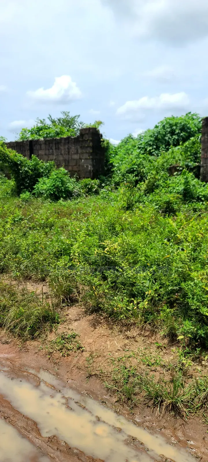 2 Plots of Land for Sale in Umuahia in Umuahia