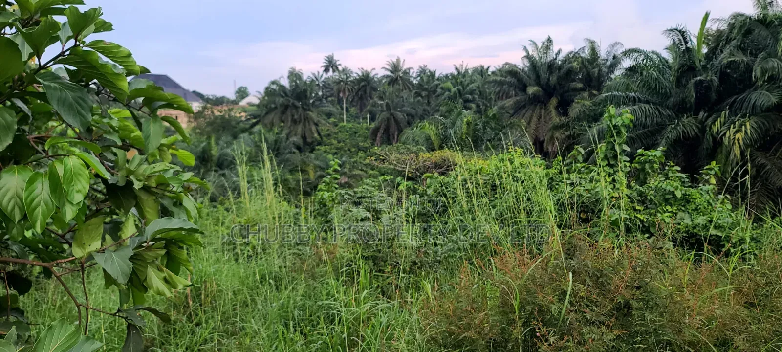 2 and Half Plots of Land in Umuahia in Umuahia