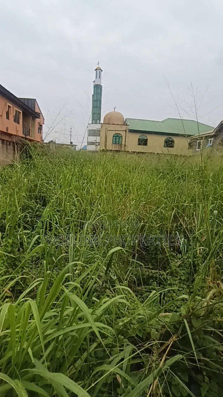 Full Plot of Land With C of O in Ipaja / Ipaja