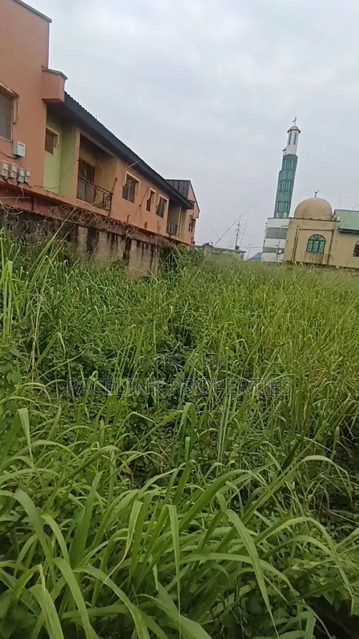 Full Plot of Land With C of O in Ipaja / Ipaja