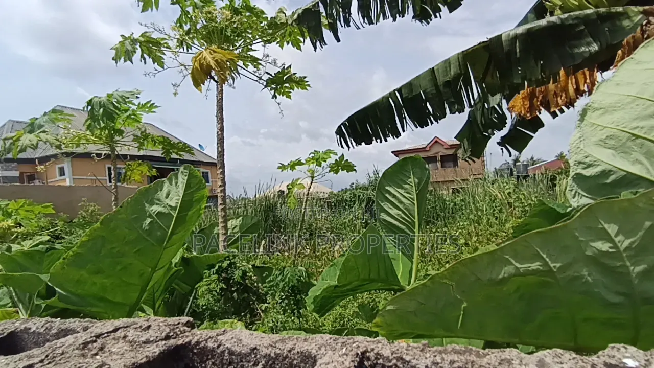 Full Plot of Land in a Estate in Igando / Ikotun/Igando