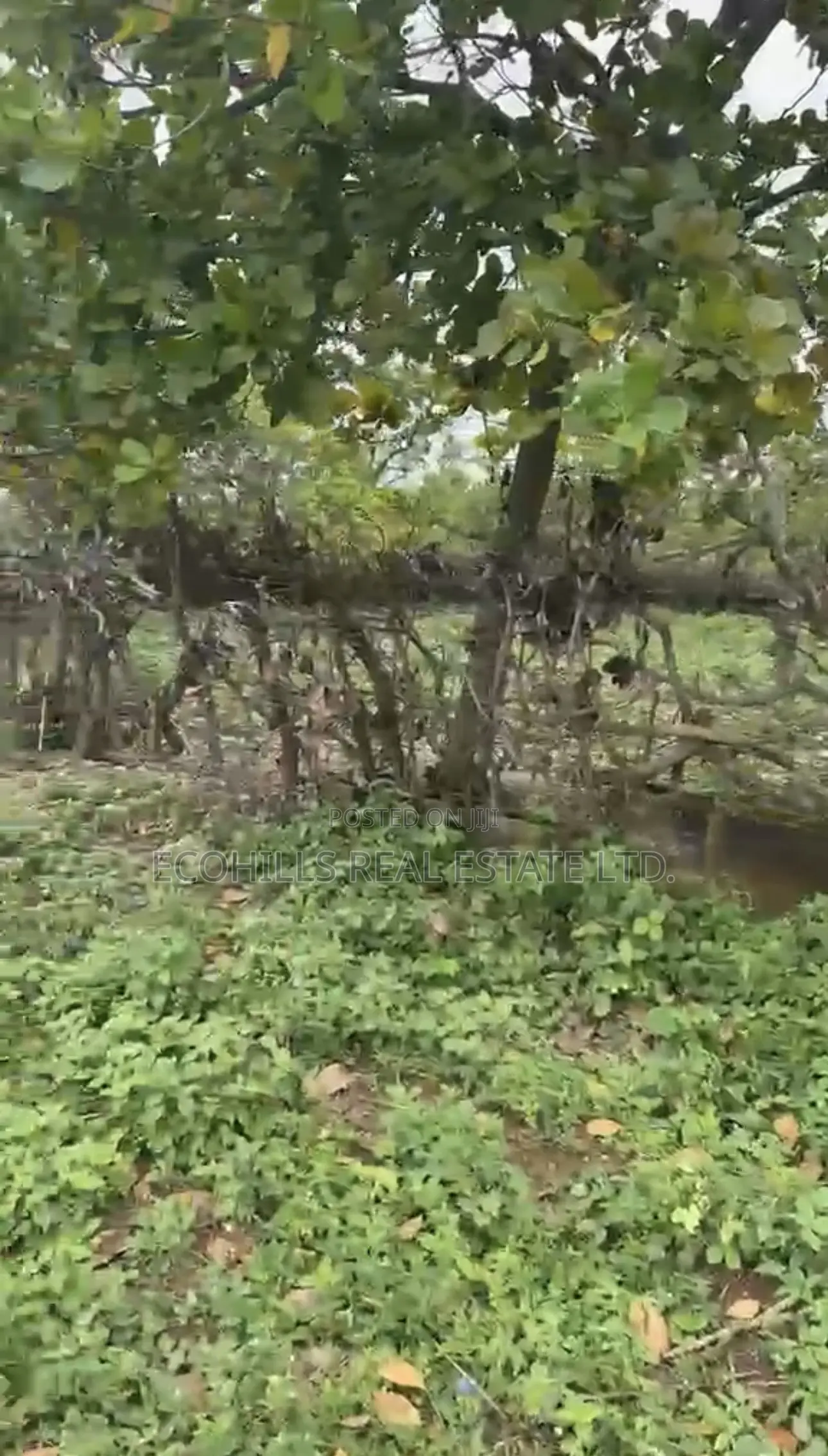 780sqm Land for Sale in Kaura