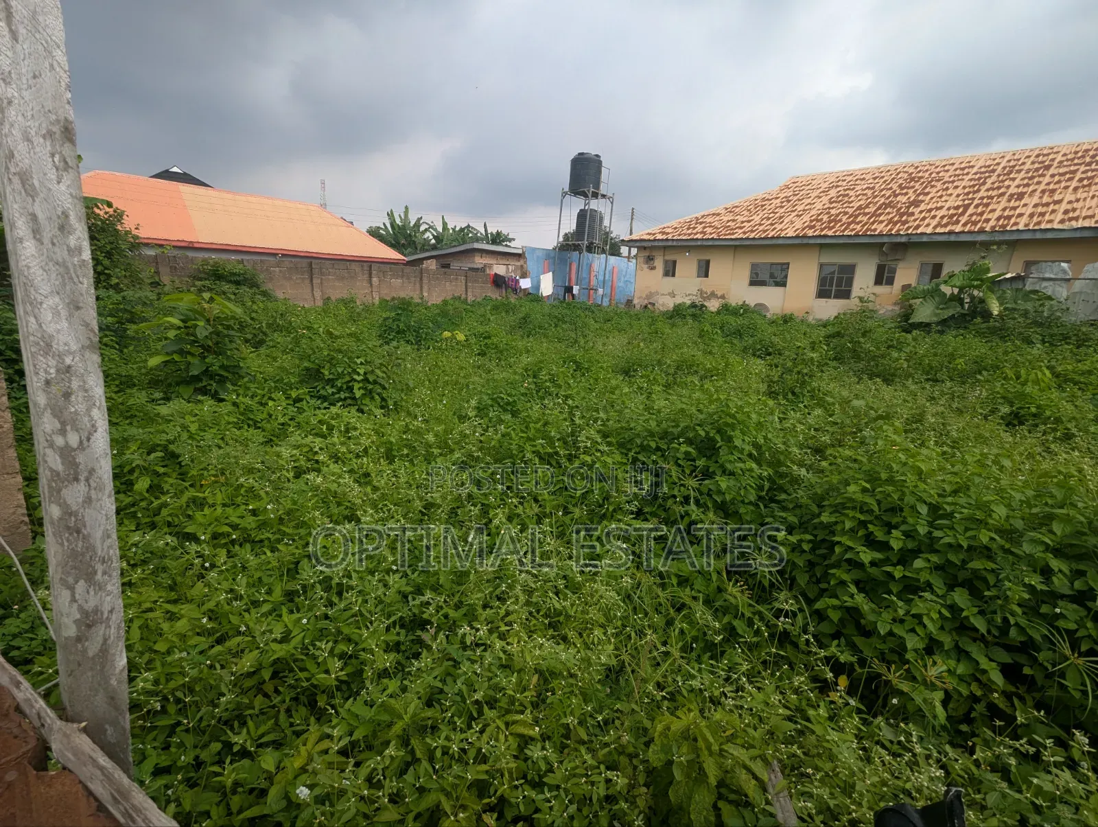  Land for Sale – A Golden Investment Opportunity! in Oluyole