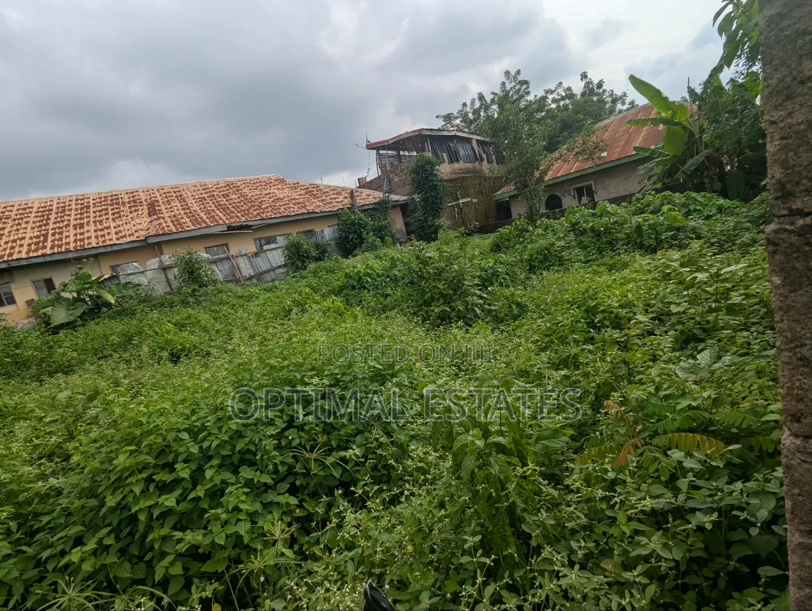  Land for Sale – A Golden Investment Opportunity! in Oluyole