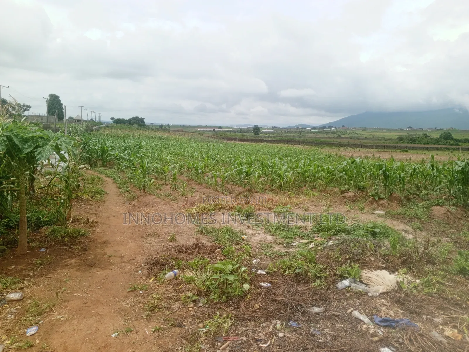 3.47 Hectares at Apo-Tafyi in Wasa