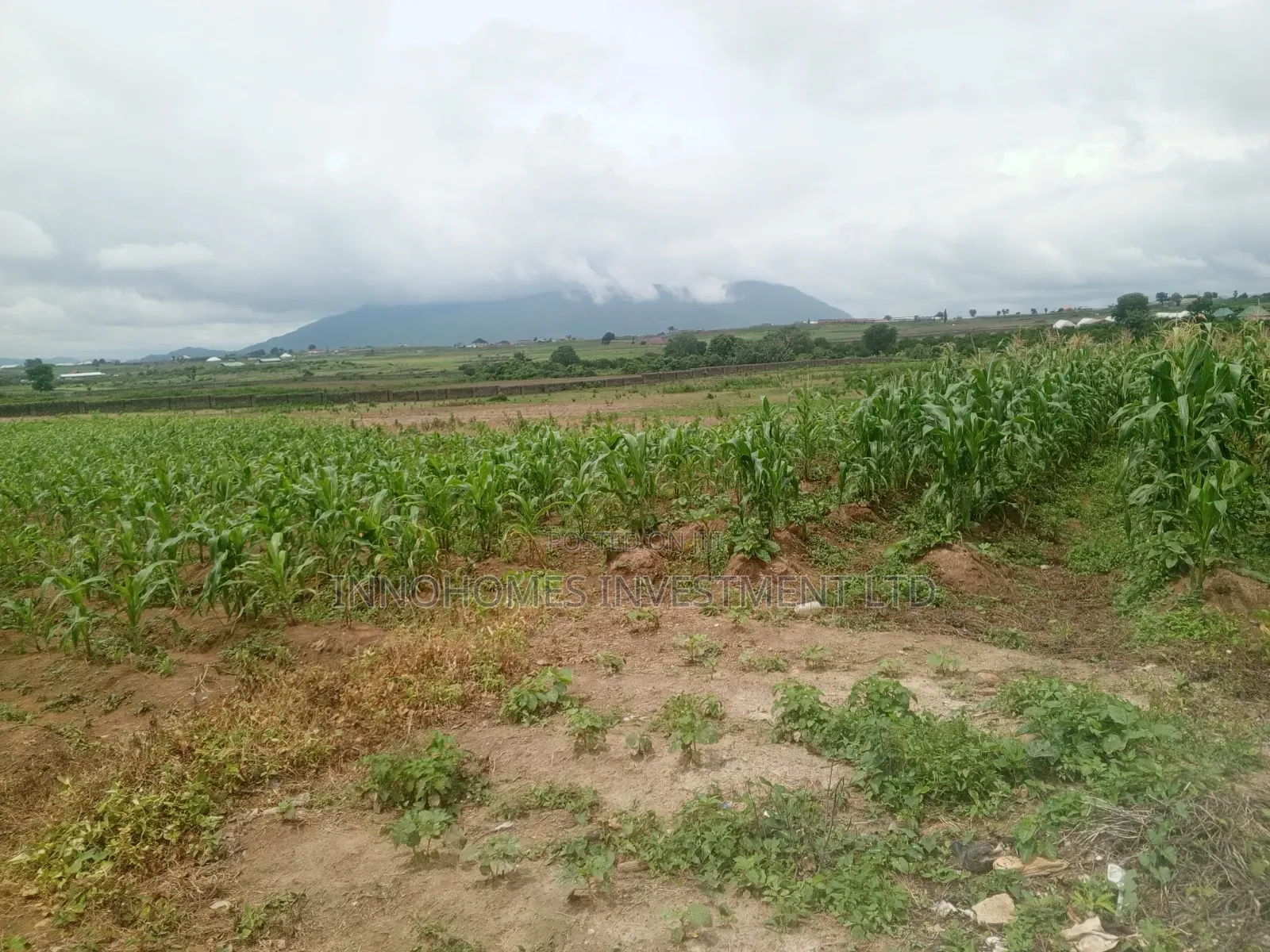3.47 Hectares at Apo-Tafyi in Wasa