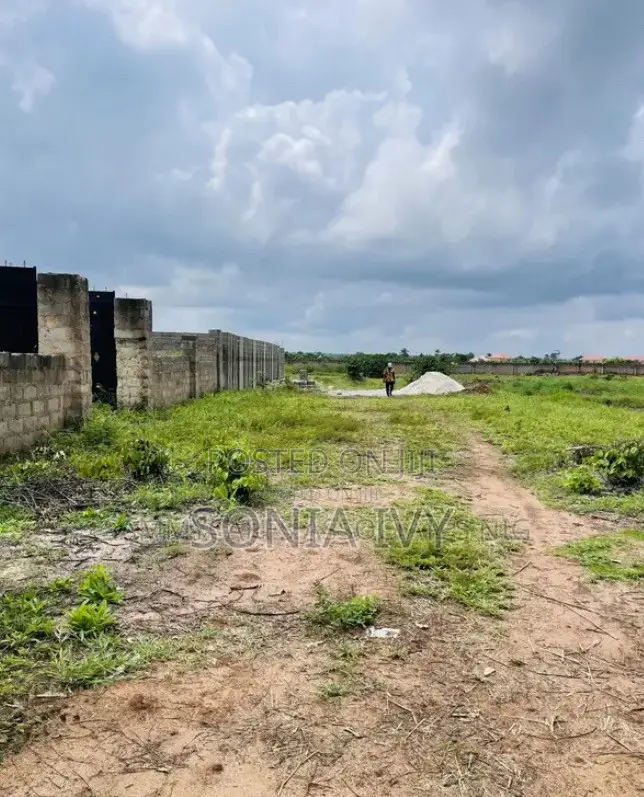 Asaba Cash Flow Gardens in Aniocha South