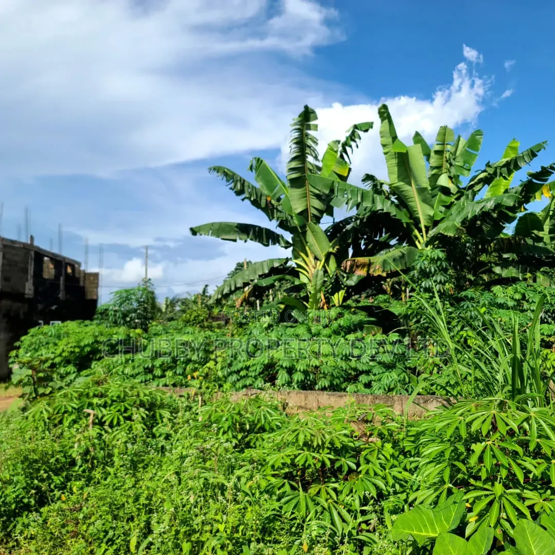 2 Plots of Land for Sale in Umuahia in Umuahia