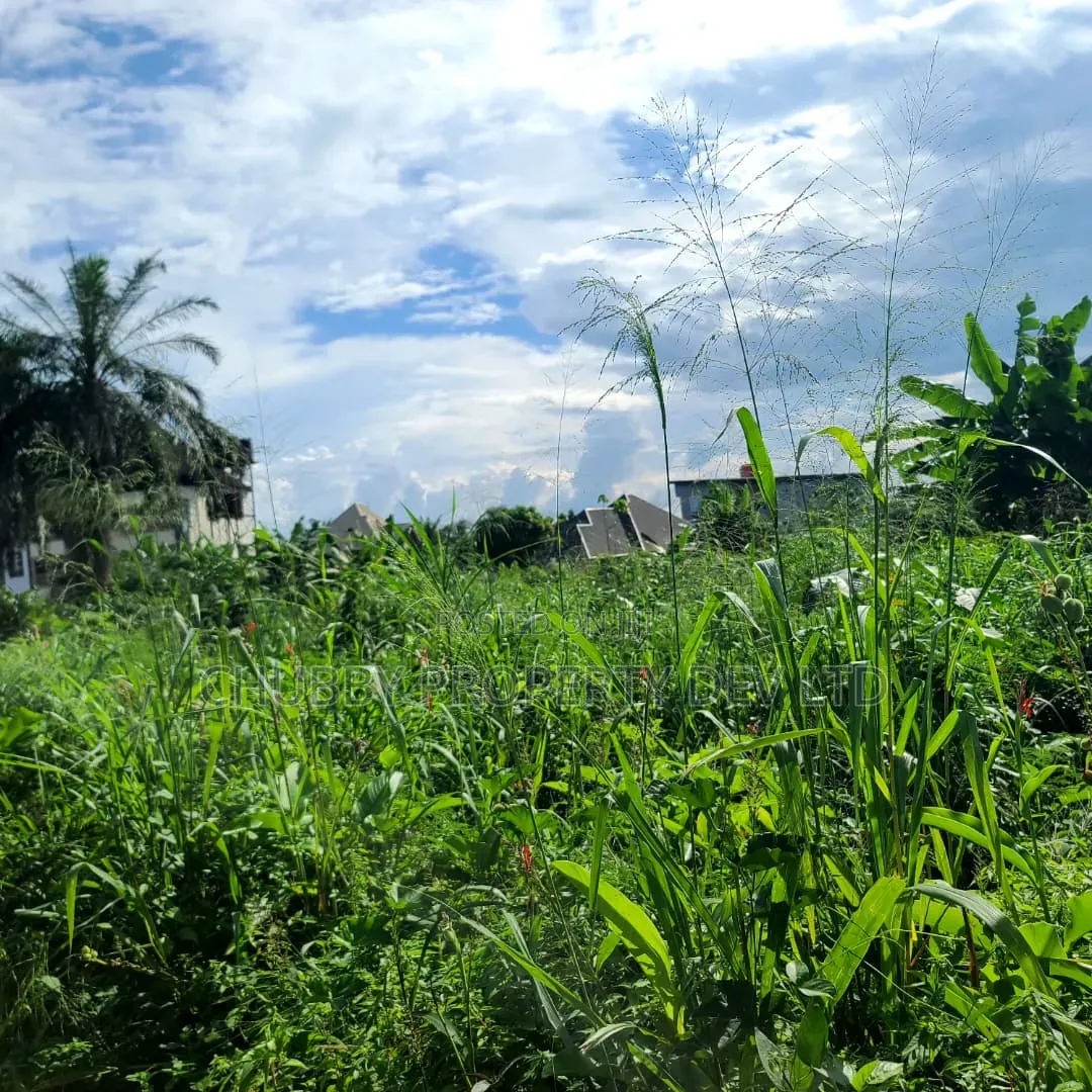 2 Plots of Land for Sale in Umuahia in Umuahia
