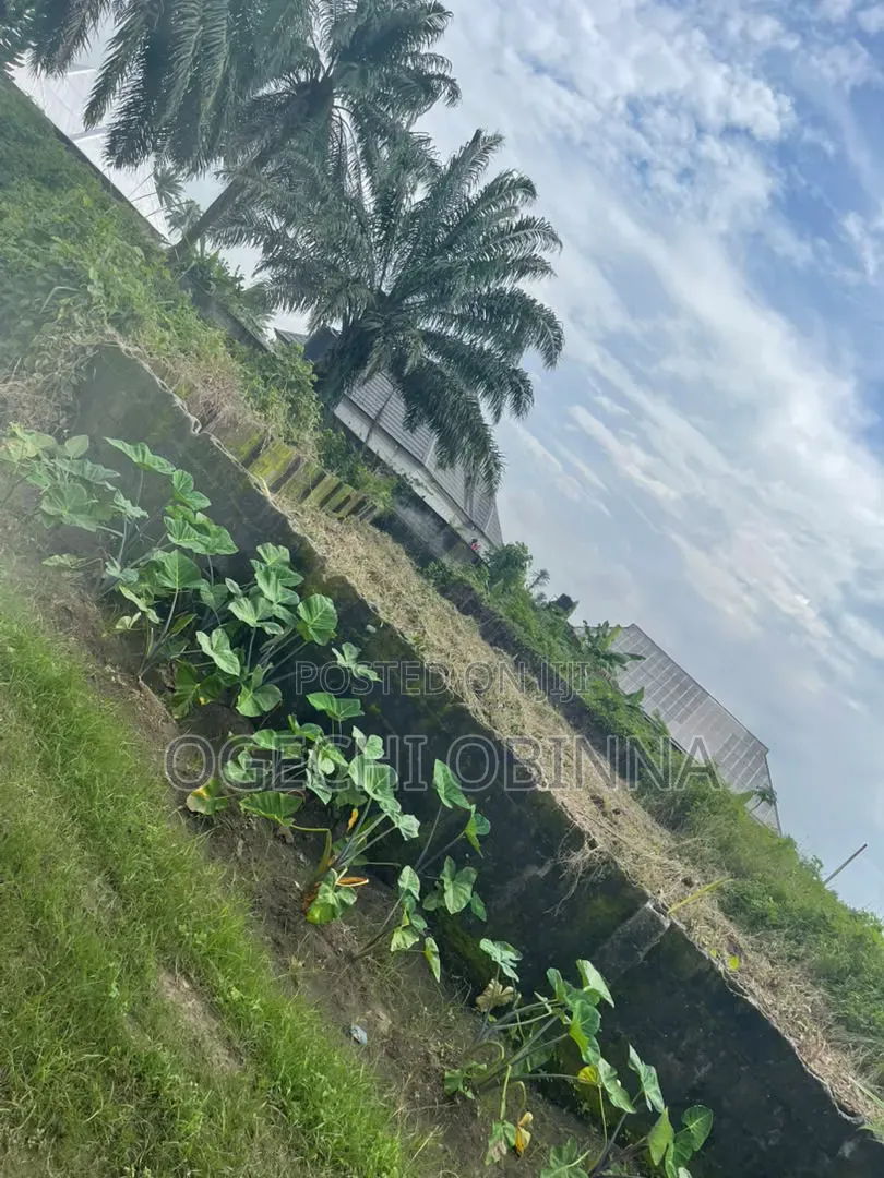 Distress Sale of One Plot at Omuoluta Igwuruta in Port-Harcourt