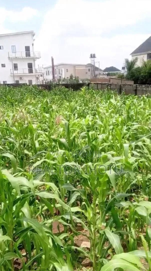 1,000sqm Residential Plot of Land in Dape District, Life Camp, Abuja in Dape