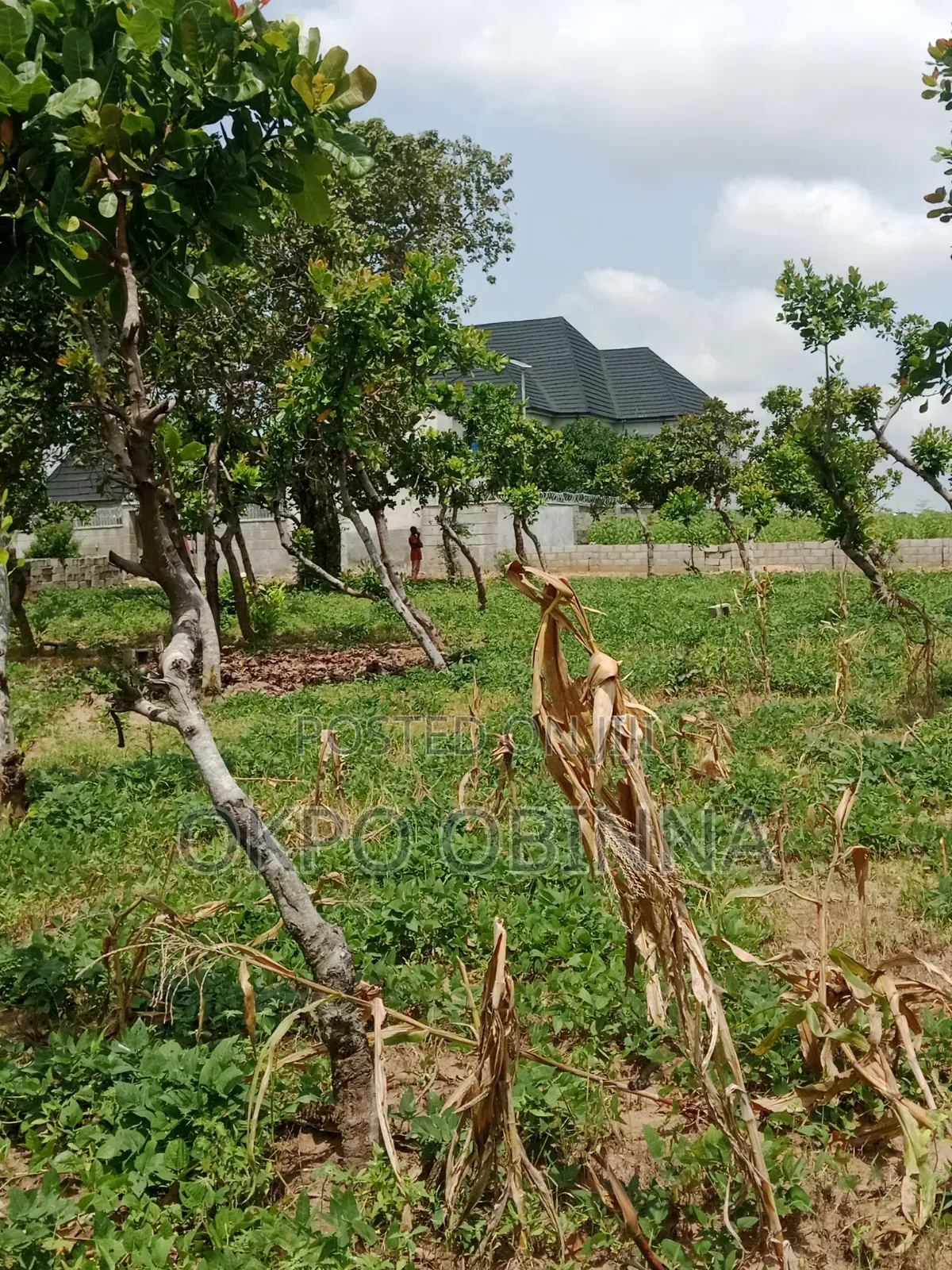 Land for Sale in Kutunku