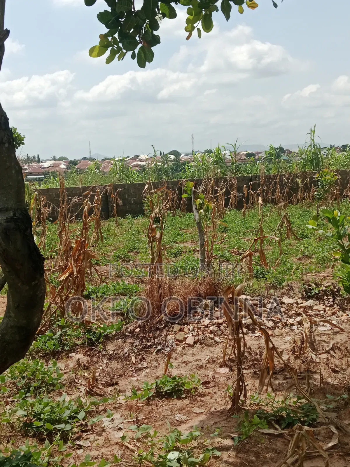Land for Sale in Kutunku