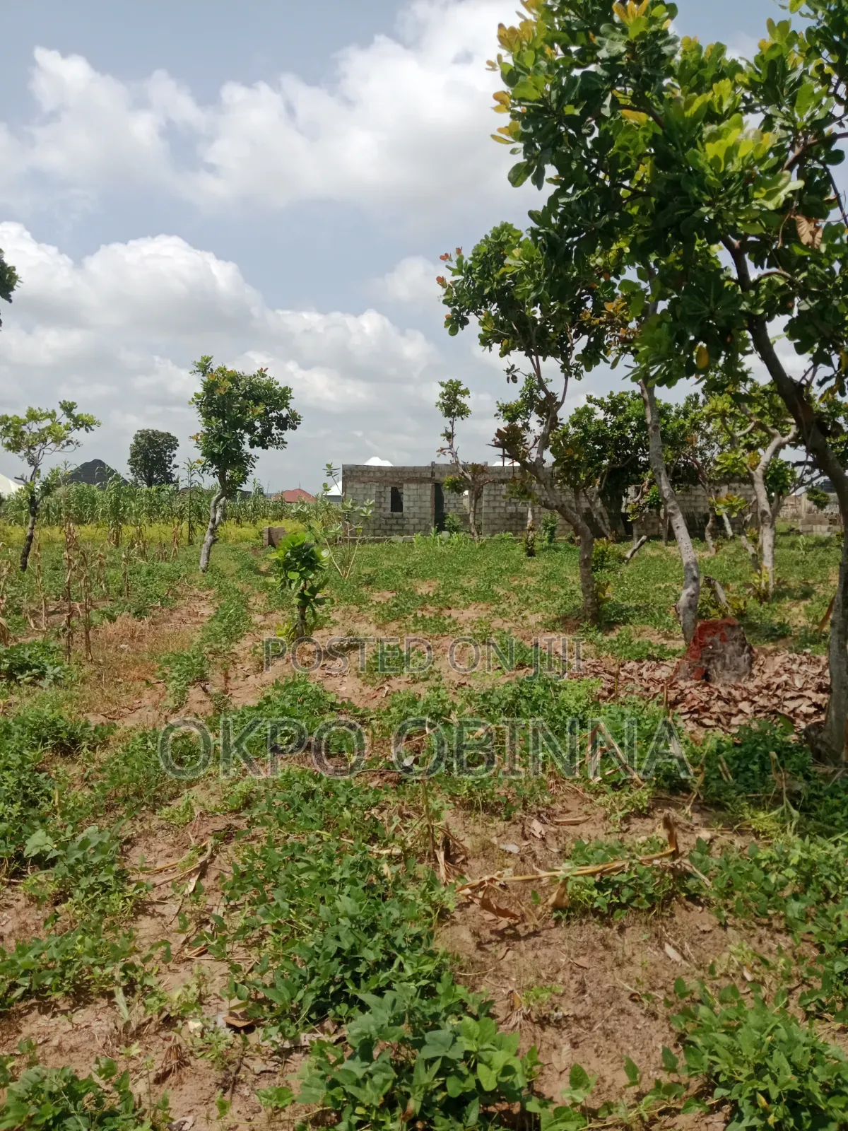 Land for Sale in Kutunku