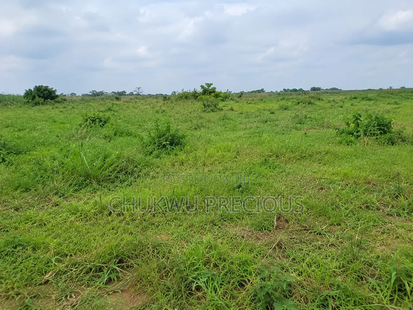 1000sqm | Sunrise Manor Apo Wasa | FCDA C of O in Wasa