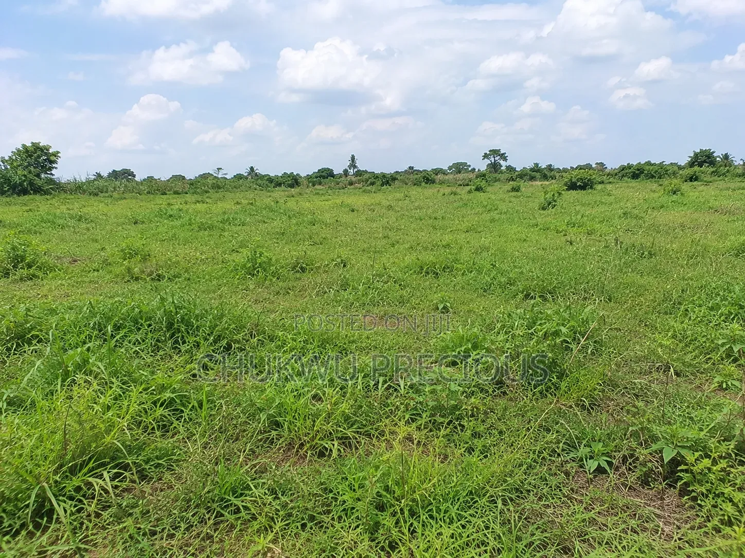 1000sqm | Sunrise Manor Apo Wasa | FCDA C of O in Wasa