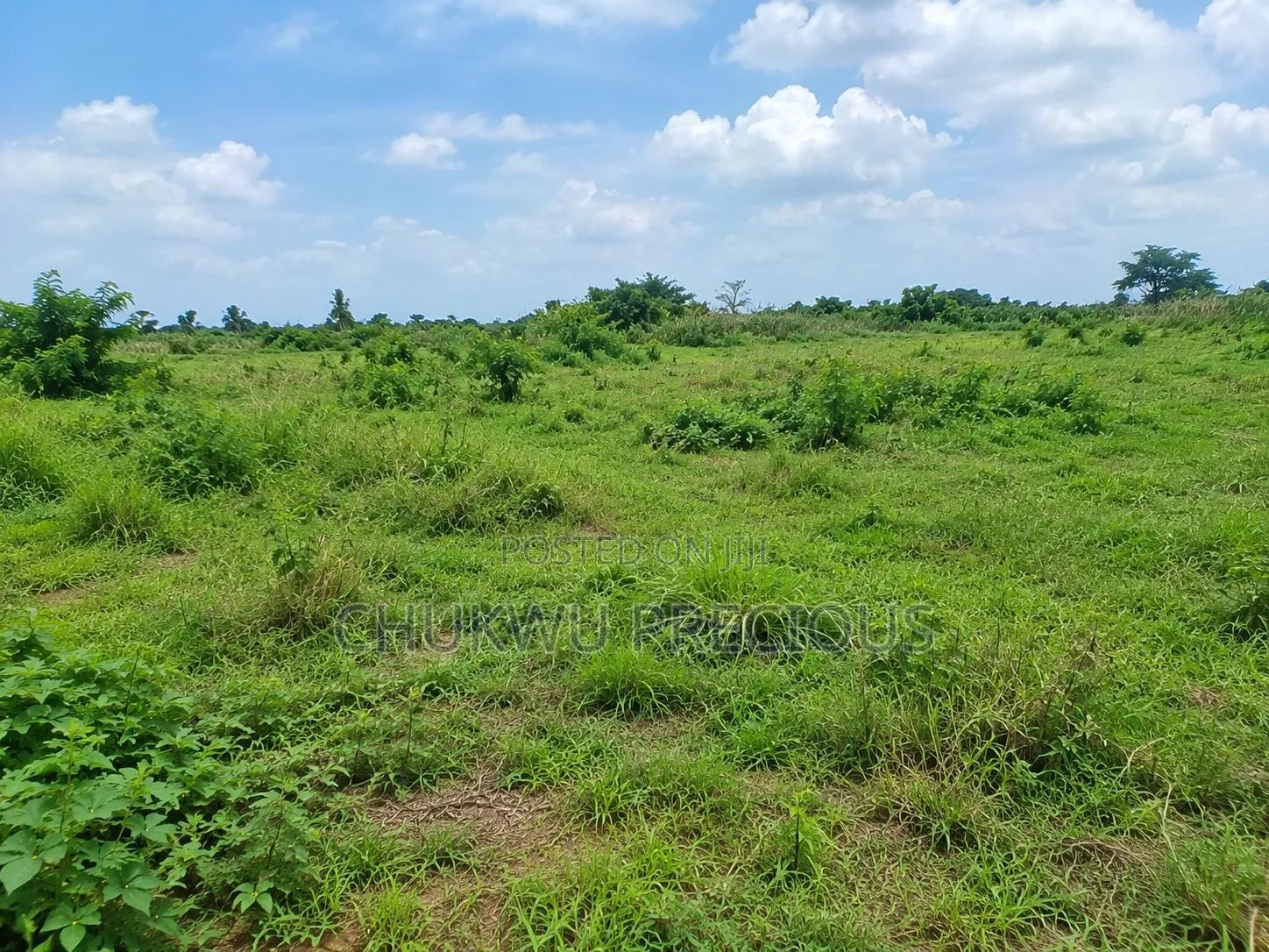 500SQM Land for Sale in Apo Wasa in Wasa